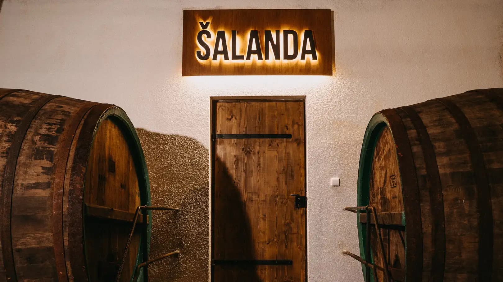 01_PU web-11.jpg.webp