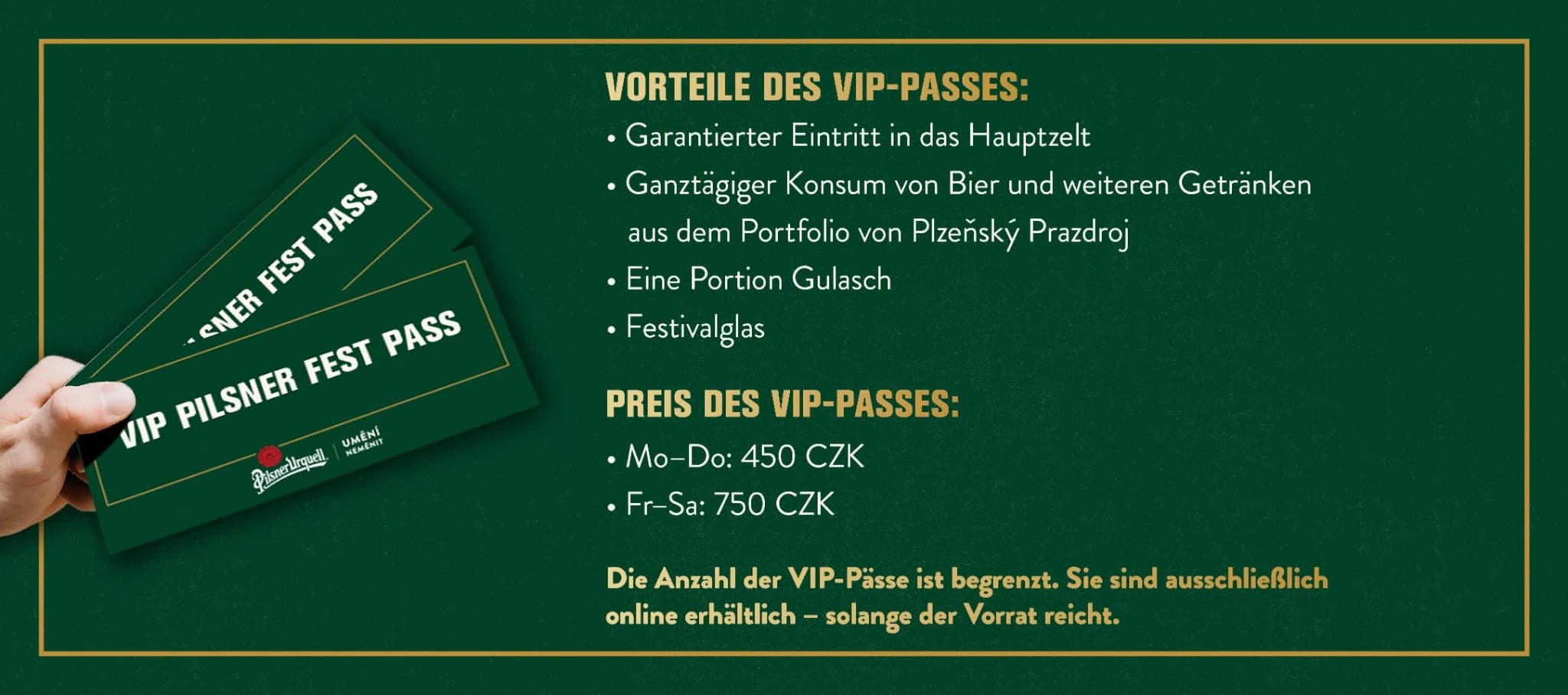 PF_26_vizualy_digital_web_banner_vip_DE.webp